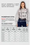 Блузка Vizavi 745 серо‑голубая полоска