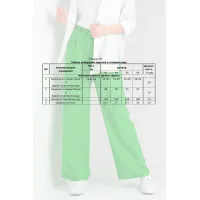 Брюки Doggi 0102 лайм