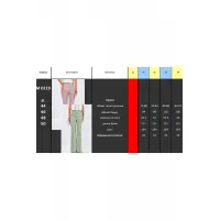 Брюки Doggi 0219 Пудра