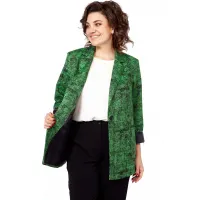Пиджак Lady Style Classic 3061 Зеленый с черным