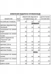 Костюм Foxy fox 1452 черный